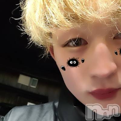 ĮۥȡܡСA151(ݥ) ŷȤդƤ(99)18̥֥֥Сǡ