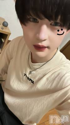 ĮۥȡܡСA151(ݥ) ŷȤդƤ(99)922̥֥֤Ϥʤ󡪡
