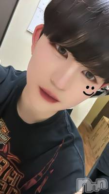 ĮۥȡܡСA151(ݥ) ŷȤդƤ(99)531̥֥