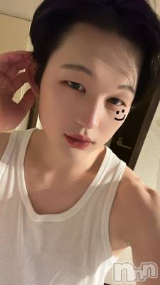 ĮۥȡܡСA151(ݥ) ŷȤդƤ(99)88̥֥ԤäƤ