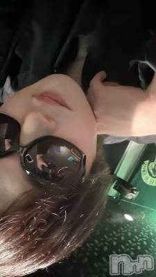 ��Į�ۥ��ȡ��ܡ������С�A151(�����������ݥ���) ŷ�Ȥդ��Ƥ�(99)��2��26���̥�֥����ֵ������