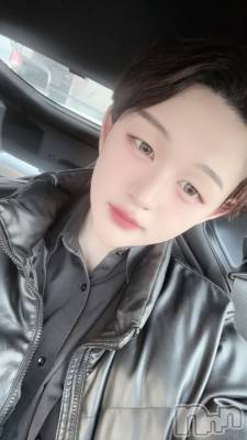 ��Į�ۥ��ȡ��ܡ������С�A151(�����������ݥ���) ŷ�Ȥդ��Ƥ�(99)��4��12���̥�֥����֤����