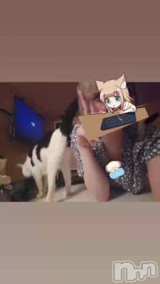 䤷Ͽ䤻˿䤷Ȥ