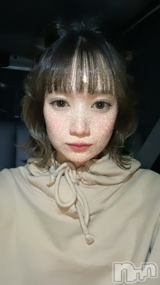 (23) Ĺ157cmƲХ顦 JARDIN CLUB(󥯥)ҡ