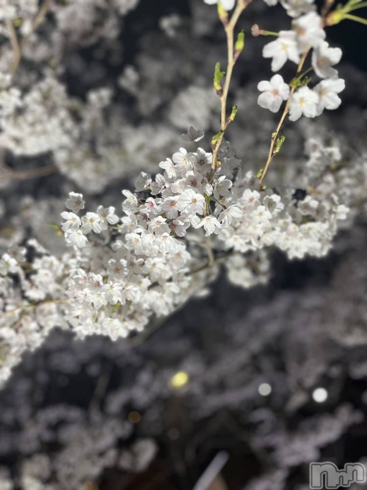 ��ˬ����Х��顦�����CLUB K����Prologue��(����֥���) ������4��8���̥�֥�����🌙*�ߡ�