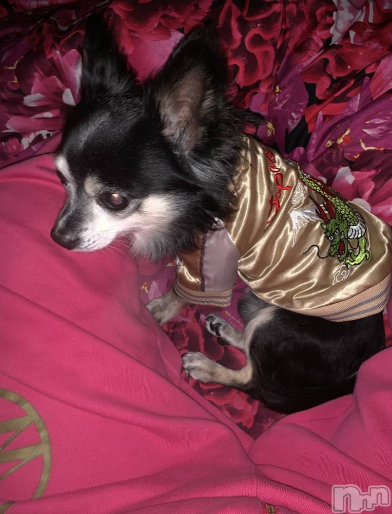 ��ˬ����Х��顦�����CLUB K����Prologue��(����֥���) ������7��20���̥�֥�����🌙*�ߡ�