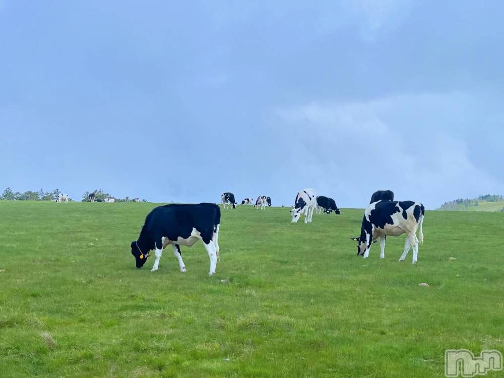 ��ˬ����Х��顦�����CLUB K����Prologue��(����֥���) ������6��11���̥�֥�����6��11�� 15��52ʬ�μ̥�֥�����