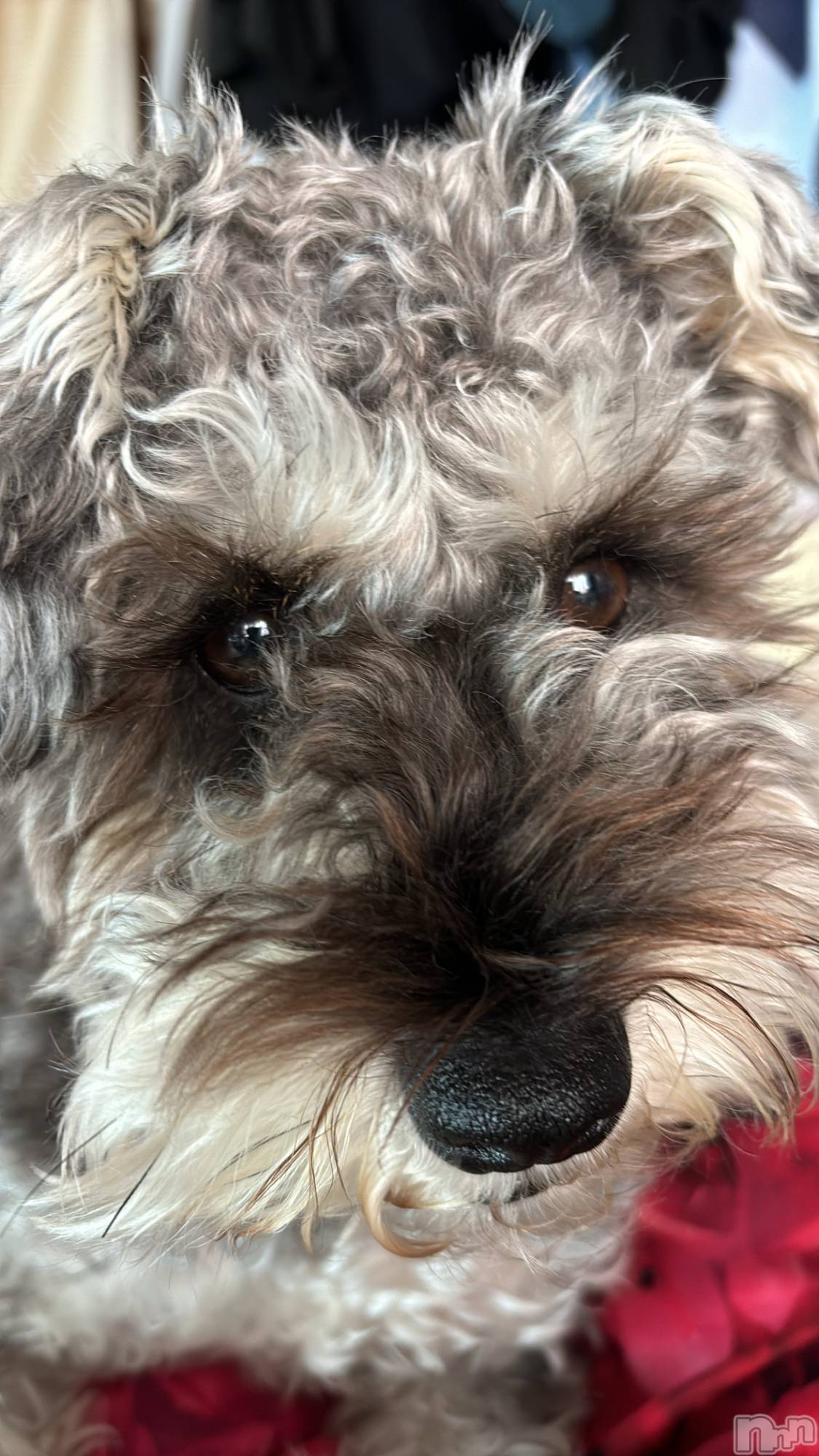 ��ˬ����Х��顦�����CLUB K����Prologue��(����֥���) ��2024ǯ12��10���̥�֥�����12��10�� 17��13ʬ�Υ֥�����