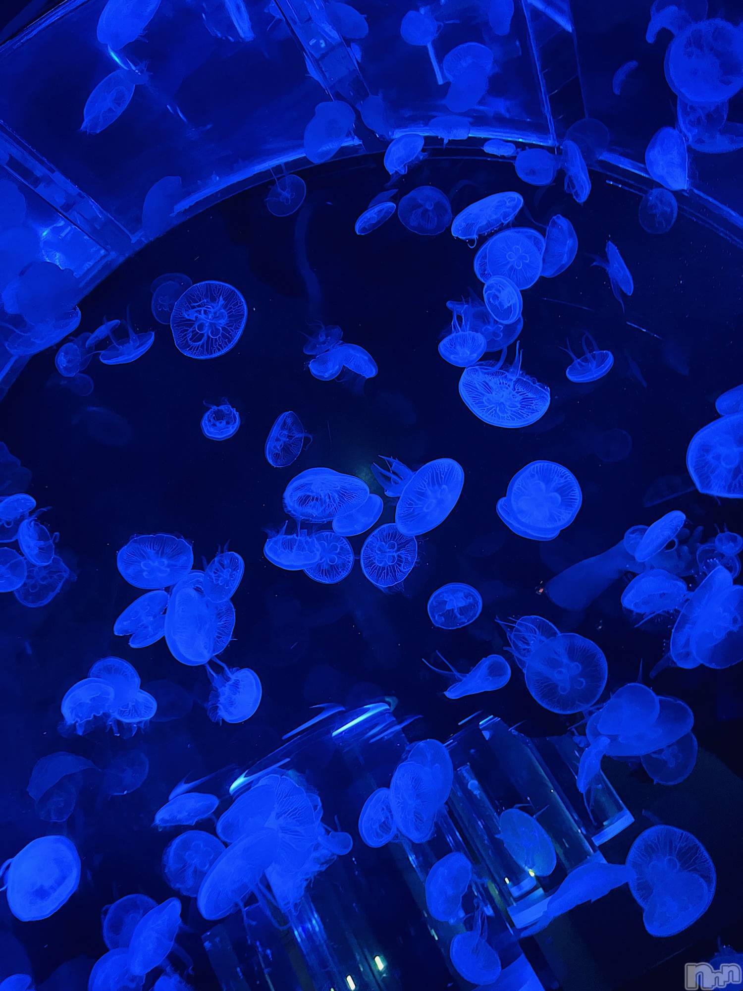 ��ˬ����Х��顦�����CLUB K����Prologue��(����֥���) ��2023ǯ2��28���̥�֥�����🌙*�ߡ�