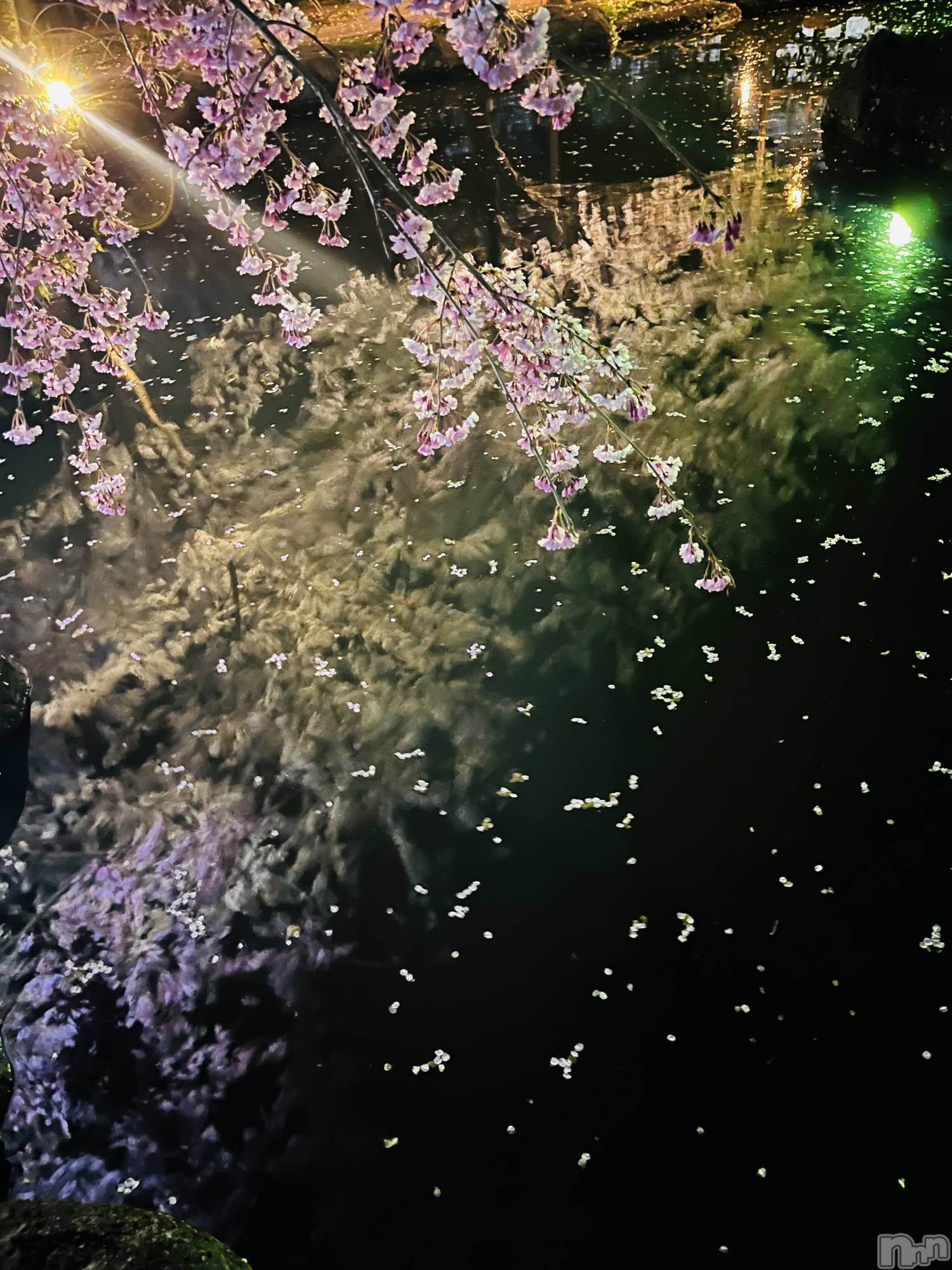 ��ˬ����Х��顦�����CLUB K����Prologue��(����֥���) ��2023ǯ4��11���̥�֥�����🌙*�ߡ�