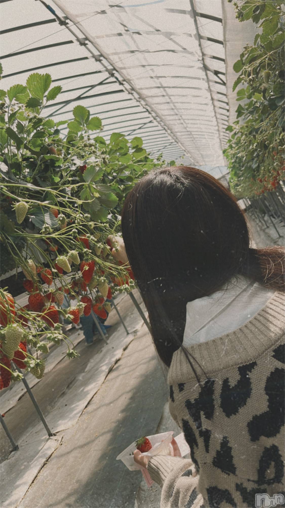 ��ˬ����Х��顦�����CLUB K����Prologue��(����֥���) ��2023ǯ4��13���̥�֥�����4��13�� 18��57ʬ�μ̥�֥�����