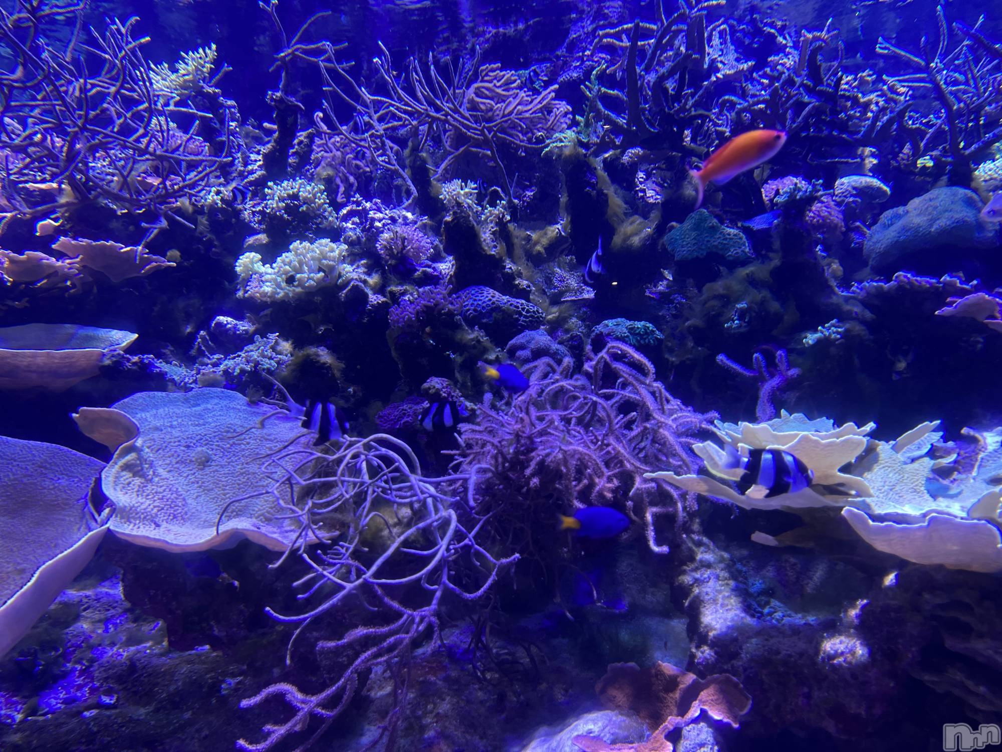 ��ˬ����Х��顦�����CLUB K����Prologue��(����֥���) ��2023ǯ5��13���̥�֥�����🌙*�ߡ�