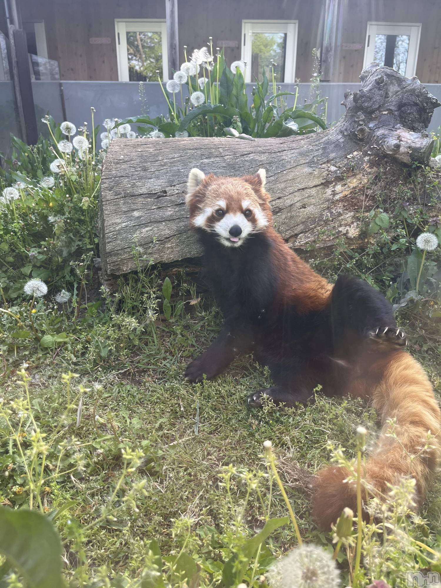 ��ˬ����Х��顦�����CLUB K����Prologue��(����֥���) ��2023ǯ5��27���̥�֥�����🌙*�ߡ�