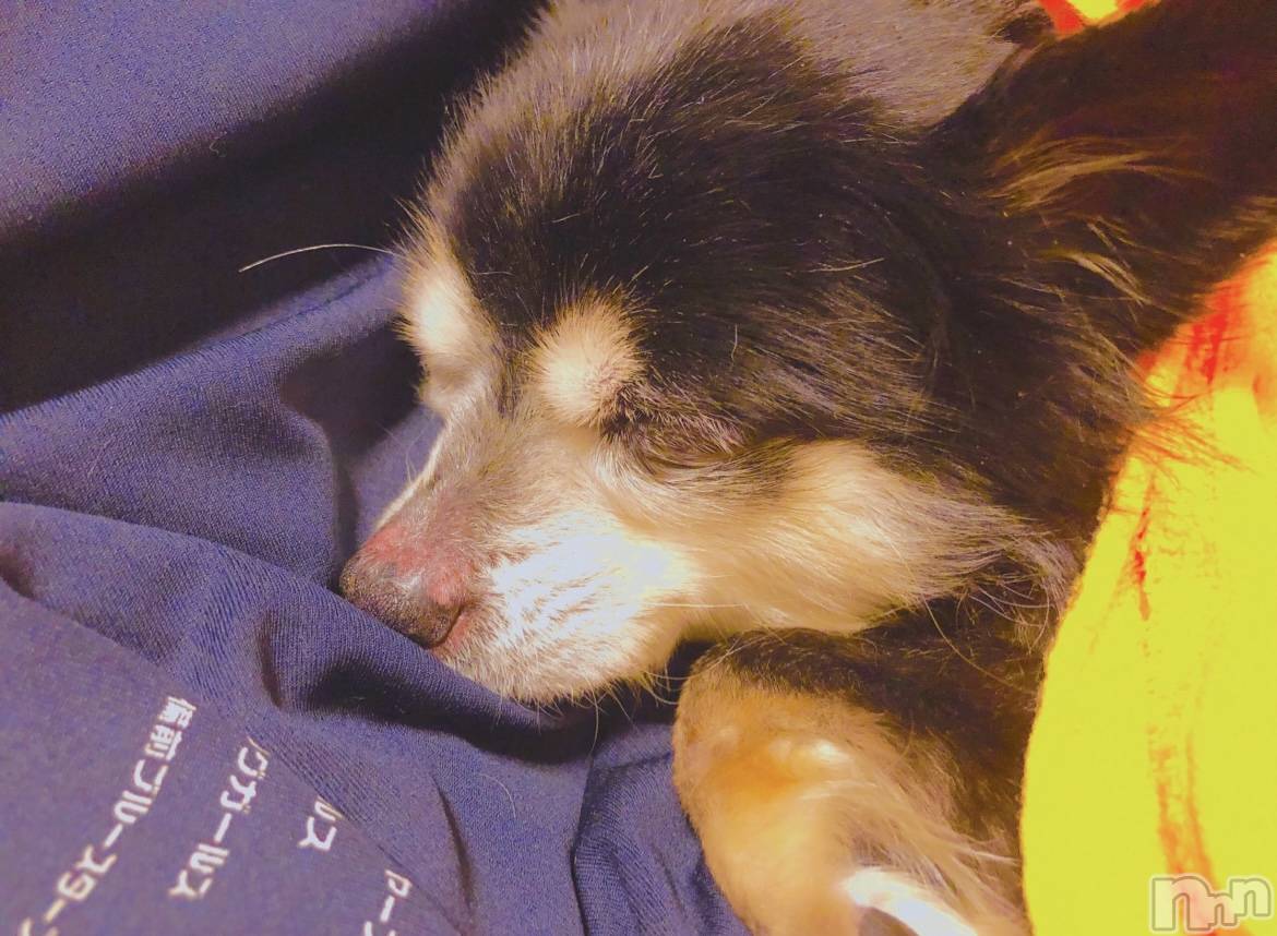 ��ˬ����Х��顦�����CLUB K����Prologue��(����֥���) ��2023ǯ6��13���̥�֥�����🌙*�ߡ�