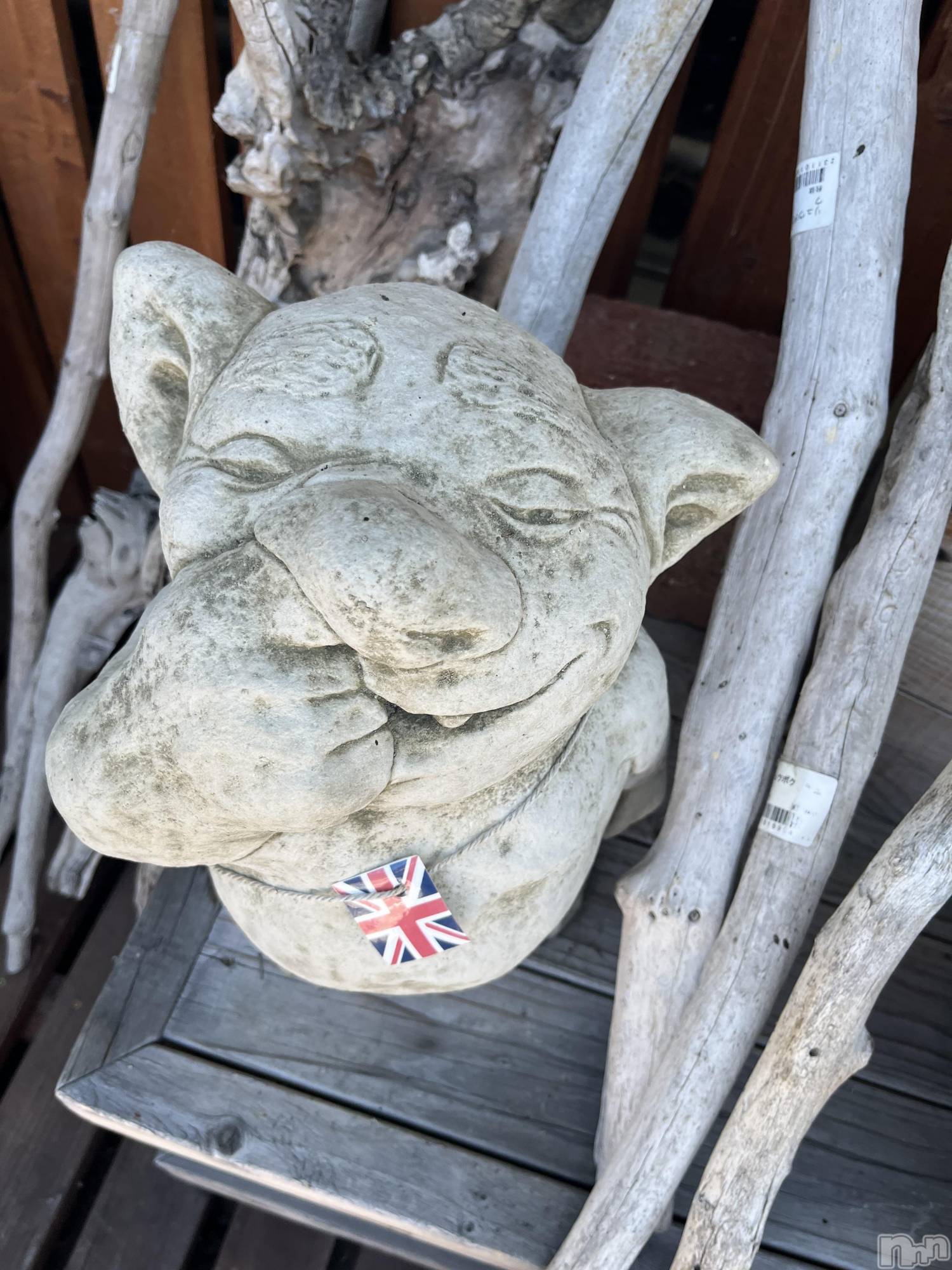 ��ˬ����Х��顦�����CLUB K����Prologue��(����֥���) ��2023ǯ7��8���̥�֥�����🌙*�ߡ�