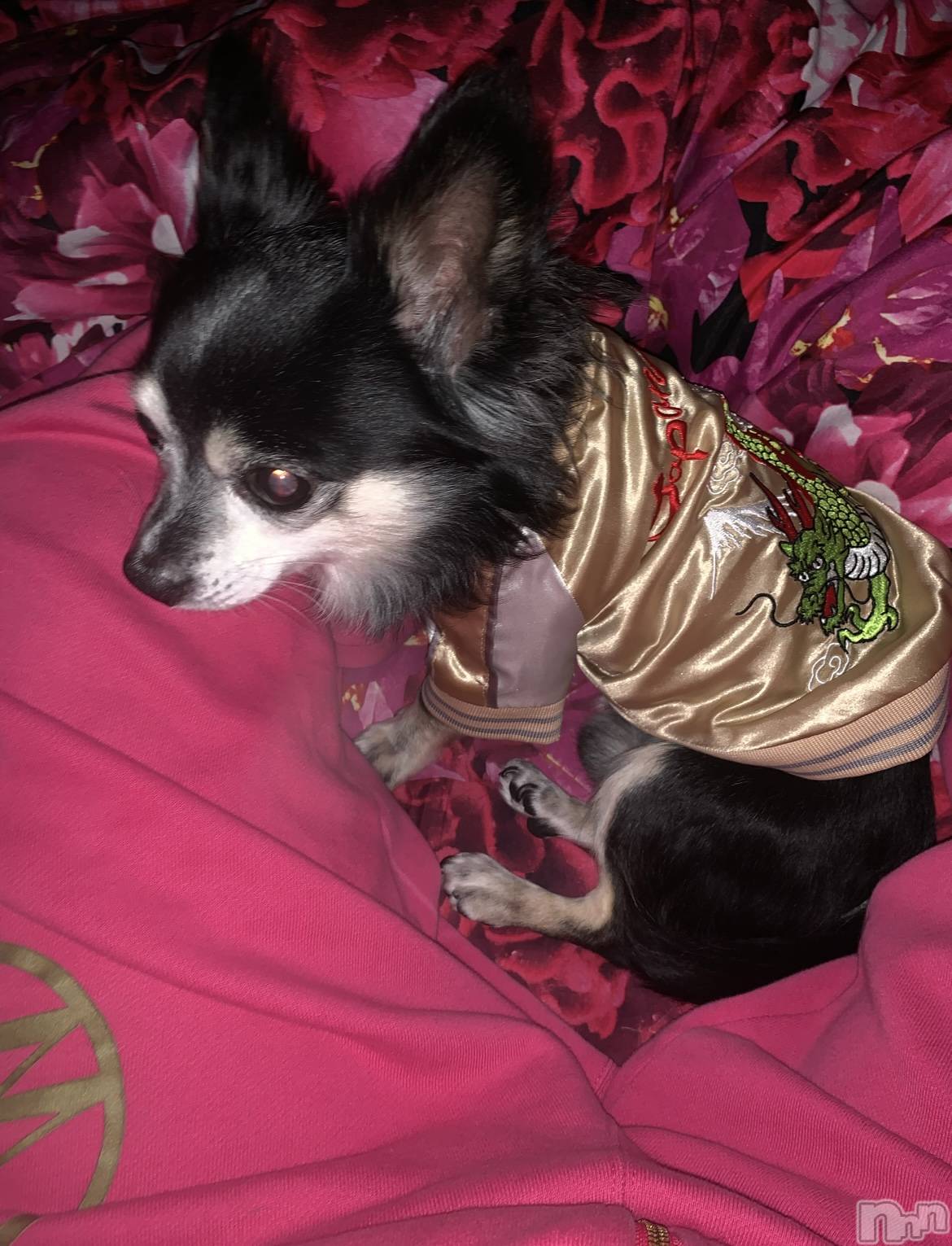 ��ˬ����Х��顦�����CLUB K����Prologue��(����֥���) ��2023ǯ7��20���̥�֥�����🌙*�ߡ�