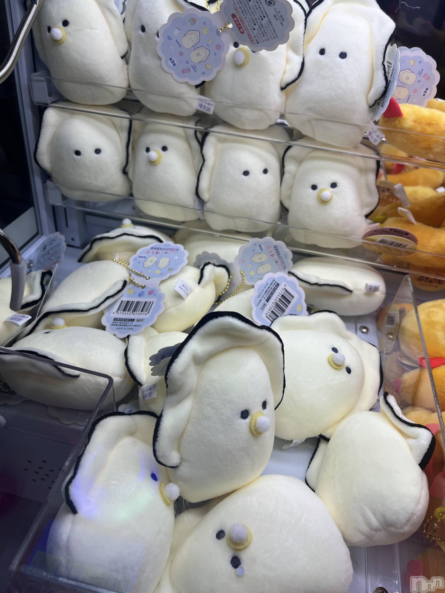 ��ˬ����Х��顦�����CLUB K����Prologue��(����֥���) ��2024ǯ1��16���̥�֥�����🌙*�ߡ�