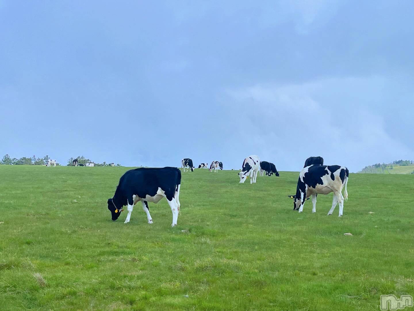 ��ˬ����Х��顦�����CLUB K����Prologue��(����֥���) ��2024ǯ6��11���̥�֥�����6��11�� 15��52ʬ�μ̥�֥�����