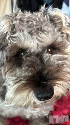 ��ˬ����Х��顦�����CLUB K����Prologue��(����֥���) �����(22)��12��10���̥�֥�����12��10�� 17��13ʬ�Υ֥�����