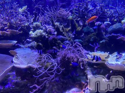 ��ˬ����Х��顦�����CLUB K����Prologue��(����֥���) �����(22)��5��13���̥�֥�����🌙*�ߡ�