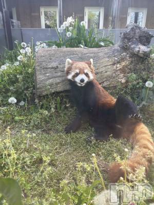 ��ˬ����Х��顦�����CLUB K����Prologue��(����֥���) �����(22)��5��27���̥�֥�����🌙*�ߡ�