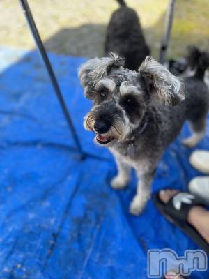 ��ˬ����Х��顦�����CLUB K����Prologue��(����֥���) �����(22)��6��17���̥�֥�����🌙*�ߡ�