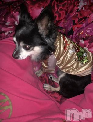 ��ˬ����Х��顦�����CLUB K����Prologue��(����֥���) �����(22)��7��20���̥�֥�����🌙*�ߡ�