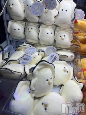 ��ˬ����Х��顦�����CLUB K����Prologue��(����֥���) �����(22)��1��16���̥�֥�����🌙*�ߡ�