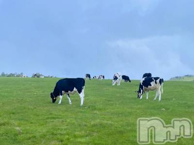 ��ˬ����Х��顦�����CLUB K����Prologue��(����֥���) �����(22)��6��11���̥�֥�����6��11�� 15��52ʬ�μ̥�֥�����