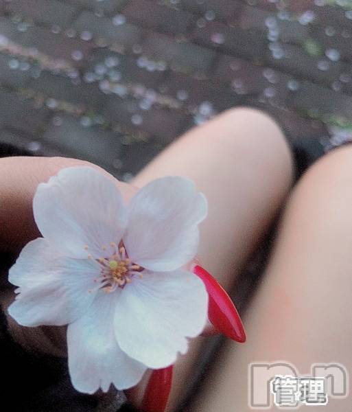新潟人妻デリヘル人妻楼　新潟店(ヒトヅマロウ　ニイガタテン) 永瀬(35)の4月21日写メブログ「ドＭ入門編」