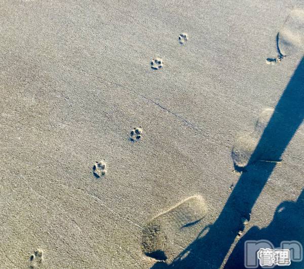 新潟デリヘル人妻楼　新潟店(ヒトヅマロウ　ニイガタテン)永瀬(35)の2025年10月29日写メブログ「短っ」