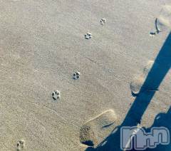 新潟デリヘル人妻楼　新潟店(ヒトヅマロウ　ニイガタテン) 永瀬(35)の6月14日写メブログ「絵に描いた様なデート」