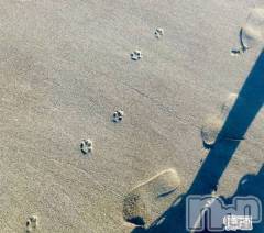 新潟デリヘル人妻楼　新潟店(ヒトヅマロウ　ニイガタテン) 永瀬(35)の10月18日写メブログ「恒例のアレ」