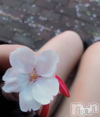 新潟人妻デリヘル 人妻楼　新潟店(ヒトヅマロウ　ニイガタテン) 永瀬(35)の4月9日写メブログ「お持ち帰り」