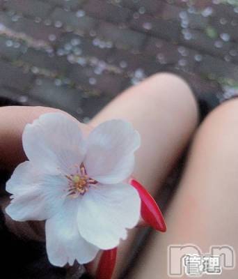 新潟人妻デリヘル 人妻楼　新潟店(ヒトヅマロウ　ニイガタテン) 永瀬(35)の4月21日写メブログ「ドＭ入門編」