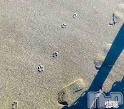 新潟デリヘル 人妻楼　新潟店(ヒトヅマロウ　ニイガタテン) 永瀬(35)の10月18日写メブログ「恒例のアレ」