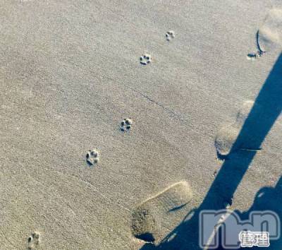 新潟デリヘル 人妻楼　新潟店(ヒトヅマロウ　ニイガタテン) 永瀬(35)の10月29日写メブログ「短っ」