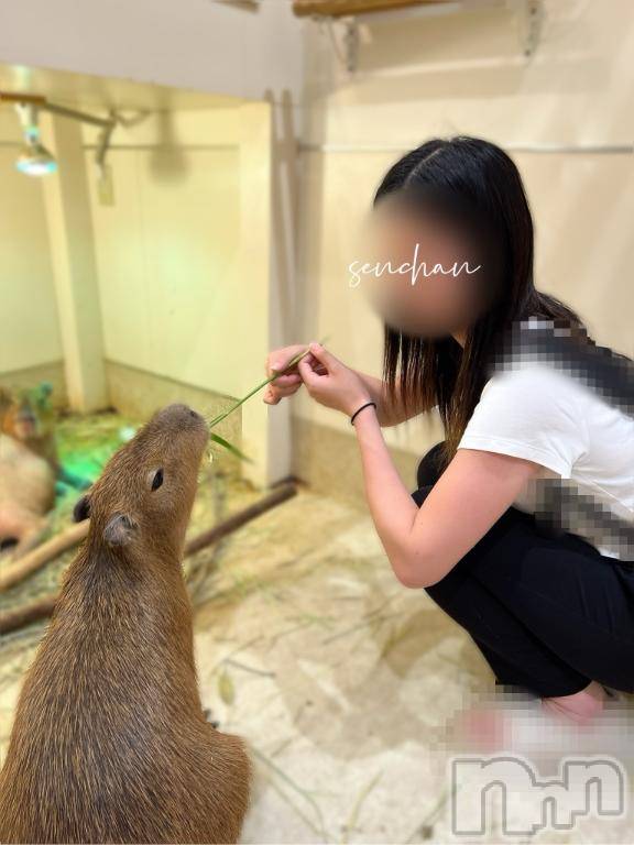 長岡人妻デリヘルBIANCA～主人の知らない私～長岡店(ビアンカナガオカテン) 咲真　せんり(27)の8月16日写メブログ「８月後半のシフトです。」