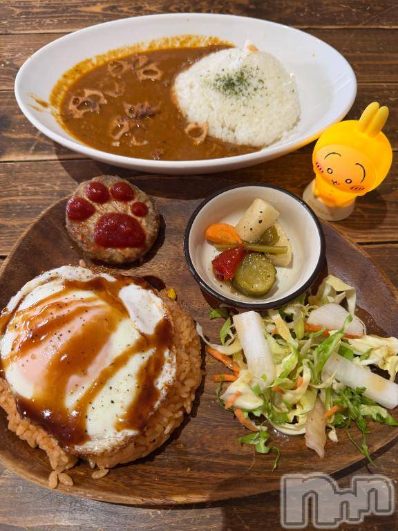 長岡デリヘルBIANCA～主人の知らない私～長岡店(ビアンカナガオカテン) 咲真　せんり(27)の2月15日写メブログ「猫は距離感を理解している(天才)」