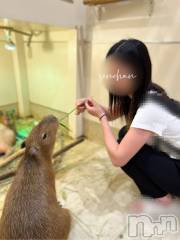 長岡デリヘルBIANCA～主人の知らない私～長岡店(ビアンカナガオカテン) 咲真　せんり(27)の8月16日写メブログ「８月後半のシフトです。」