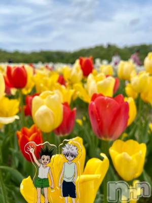 長岡デリヘル BIANCA～主人の知らない私～長岡店(ビアンカナガオカテン) 咲真　せんり(27)の5月5日写メブログ「チューリップは赤と黄色が好き！」