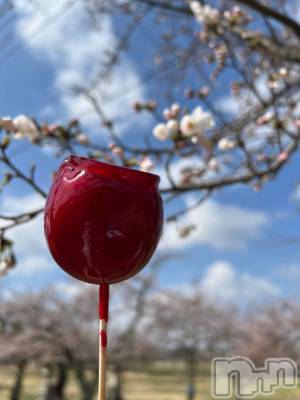 長岡デリヘル BIANCA～主人の知らない私～長岡店(ビアンカナガオカテン) 咲真　せんり(27)の4月14日写メブログ「🌸🌸🌸」