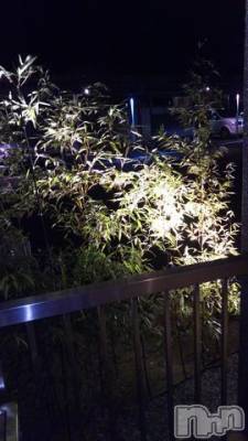 新潟人妻デリヘル 熟女の風俗 最終章(ジュクジョノフウゾクサイシュウショウ) はる(60)の5月28日写メブログ「来週火曜日ご予約の０００様」
