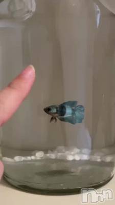 🐠