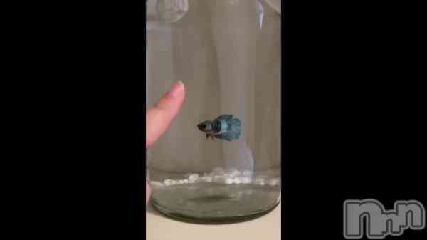 &#x1F420;