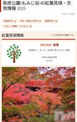 新潟デリヘル奥様特急 新潟店(オクサマトッキュウニイガタテン) ゆゆか(30)の10月10日写メブログ「オススメある？❤️」