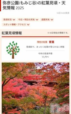新潟デリヘル 奥様特急 新潟店(オクサマトッキュウニイガタテン) ゆゆか(30)の10月10日写メブログ「オススメある？❤️」