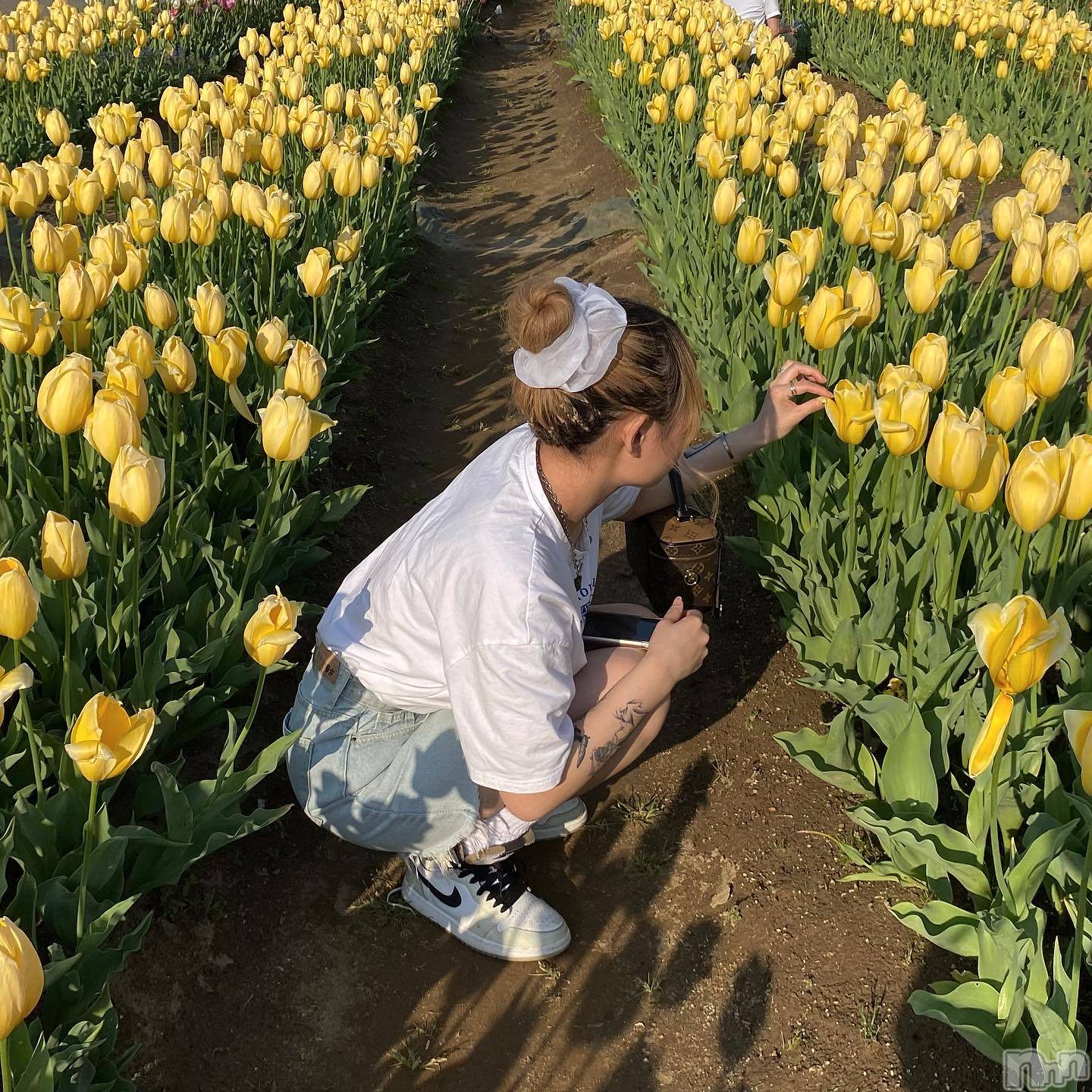 �ܻ���ϩ���ʥå��������륺�С�Anthem (���󥻥�) ��2023ǯ2��9���̥�֥����֥��塼��å�🌷��