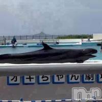 ���륫🐬