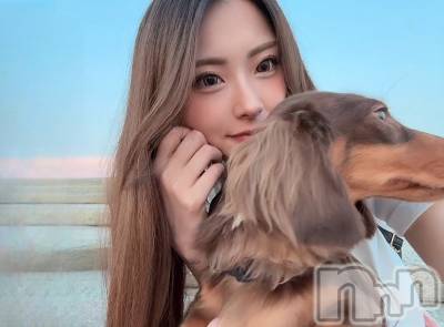 Х顦Club Calnet(֡) ʥ618̥֥ͼä🐶🐾